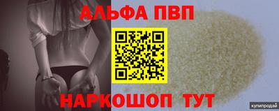 стафф Камышлов