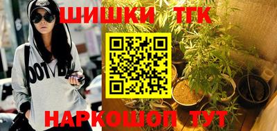 стафф Камышлов