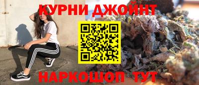 стафф Камышлов