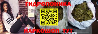шишки Канаш